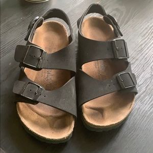 Betula Birkenstock’s